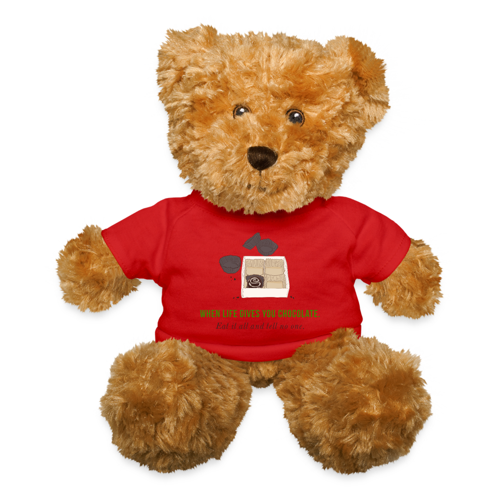 Chocolate Wisdom - Christmas Teddy Bear - red